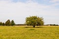 Majestic country landscape under morning sky with clouds. Royalty Free Stock Photo