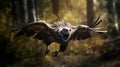 Photo-realistic Eagle In Baroque Woods: A Stunning Octane Render