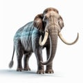 Majestic 3d Mastodon Walking On White Background