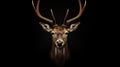 Majestic Deer Head Contrasts With Black Backdrop