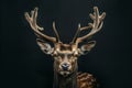 Majestic deer with large antlers in dark background
