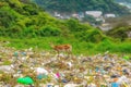 Majestic deer among plastic waste. Generative AI