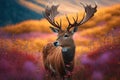 majestic deer standing in field of blooming wildflowers