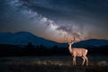 Majestic deer under starlit sky on mountain backdrop