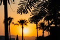 Majestic dusk in tropics. Goden sunset sky with beautiful silhouette coconut palm tree, leaves and mountains in the