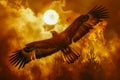 Majestic Eagle in Flight Against Dramatic Fiery Sky with Full Moon Nature Wildlife Concept