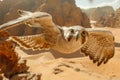 Majestic Eagle in Flight over Desert Landscape with Rocky Terrain and Clear Blue Sky