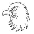 Majestic eagle head outline vector illustration. Hand drawn fierce eagle face Royalty Free Stock Photo
