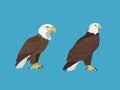 Majestic Eagle Illustration