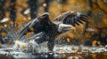 Majestic Eagle Gracefully Touches Down on Rippling Water