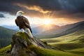 A majestic eagle perched on a moss-covered branch against a dramatic cloudy sky