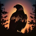 Majestic Eagle Silhouette at Sunset Royalty Free Stock Photo