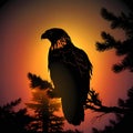 Majestic Eagle Silhouette at Sunset Royalty Free Stock Photo