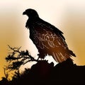 Majestic Eagle Silhouette at Sunset Royalty Free Stock Photo