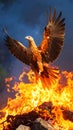 Majestic eagle soaring above flames with outstretched wings, dramatic sky backdrop Royalty Free Stock Photo