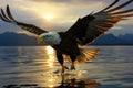 Majestic Eagle Soaring Above Water.