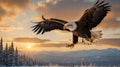 Majestic Bald Eagle Soaring Above Snow-Capped Mountains at Sunset, Displaying Power and Freedom Royalty Free Stock Photo