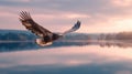 The Majestic Eagle Soaring Over a Serene Lake at Sunset AI generated image Royalty Free Stock Photo