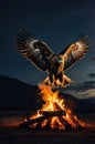 Majestic Golden Eagle Soaring Above a Fiery Campfire at Night Royalty Free Stock Photo