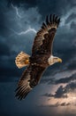 Bald Eagle in Flight Under a Stormy Sky with Lightning Streaks in the Dramatic Cloudscape Royalty Free Stock Photo