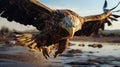Realistic Vray Tracing: Majestic Eagle Soaring Over Water