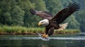 A majestic eagle swoops down to catch fish in a serene river setting Royalty Free Stock Photo