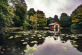 Early autumn view of a wooden cabin by reflective pond water with lily pads in Burger Park, Germany Royalty Free Stock Photo