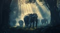 Majestic Elephants Walking Through a Sunlit Forest with Rays of Light Filtering Through the Trees in a Serene Natural Setting Royalty Free Stock Photo