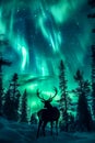 Majestic Elk Under Mesmerizing Aurora Borealis in Snowy Winter Forest Landscape Royalty Free Stock Photo