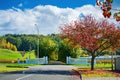 Majestic entrance to the Mission Estate winery in Hawke's Bay. Road driveway walled by turning plane trees