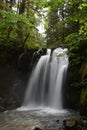 Majestic Falls, McDowell County Park, Oregon: Aperature Priority Royalty Free Stock Photo