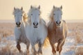 Majestic farm scene White and brown horses gallop freely