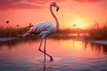 Majestic Flamingo at Sunset Graceful in Tranquil Waters