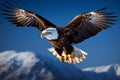 Majestic flight eagle soars against a captivating backdrop of blue Royalty Free Stock Photo