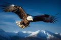 Majestic flight eagle soars against a captivating backdrop of blue Royalty Free Stock Photo