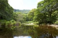 Majestic forest round water cascade of Powerscourt Waterfall, the highest waterfall in Ireland. Famous tourist attractions in co. Royalty Free Stock Photo