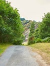 Majestic forest round water cascade of Powerscourt Waterfall, the highest waterfall in Ireland. Famous tourist attractions in co. Royalty Free Stock Photo