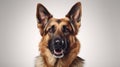 Majestic German Shepherd Dog on White Background AI Generated