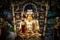 Perfect golden Buddha?boy