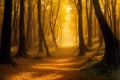 Majestic Golden Forest: Sunlit Leaves Beckoning Exploration