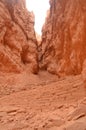 Majestic Gorge In Bryce Canyon Formations Of Hoodos. Geology. Travel.Nature. Royalty Free Stock Photo