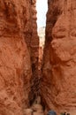 Majestic Gorge In Bryce Canyon Formations Of Hoodos. Geology. Travel.Nature. Royalty Free Stock Photo