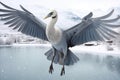 Majestic gray crane gliding with outstretched wings over serene snow-covered lake