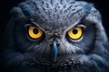 Majestic great gray owl portrait with neon blue eyes symbol of nature freedom and mystery