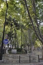 Lisbon,18th july: Green Garden from Historic Avenue Liberdade in Downtown of Lisbon