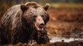 Majestic Grizzly Bear Covered In Mud A Viennese Actionism Inspired Photo