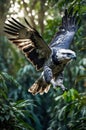 Majestic Philippine Eagle in Flight, Soaring Through Lush Rainforest Royalty Free Stock Photo