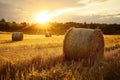 Majestic Hay Bales Dance in the Sunset Glow