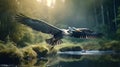 Majestic Heron Soaring Over Sunlit River