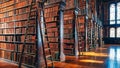 Majestic Historical Library with Tall Shelves and Ladders